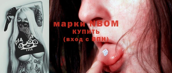 apvp Дмитров