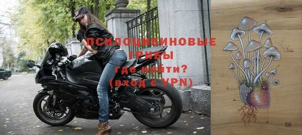 apvp Дмитров