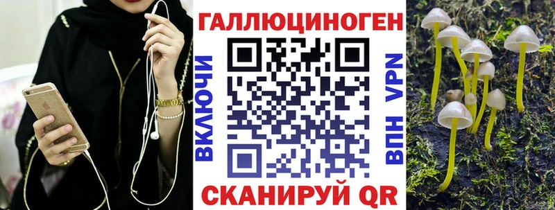 Псилоцибиновые грибы прущие грибы  мега как войти  Петрозаводск  закладка 